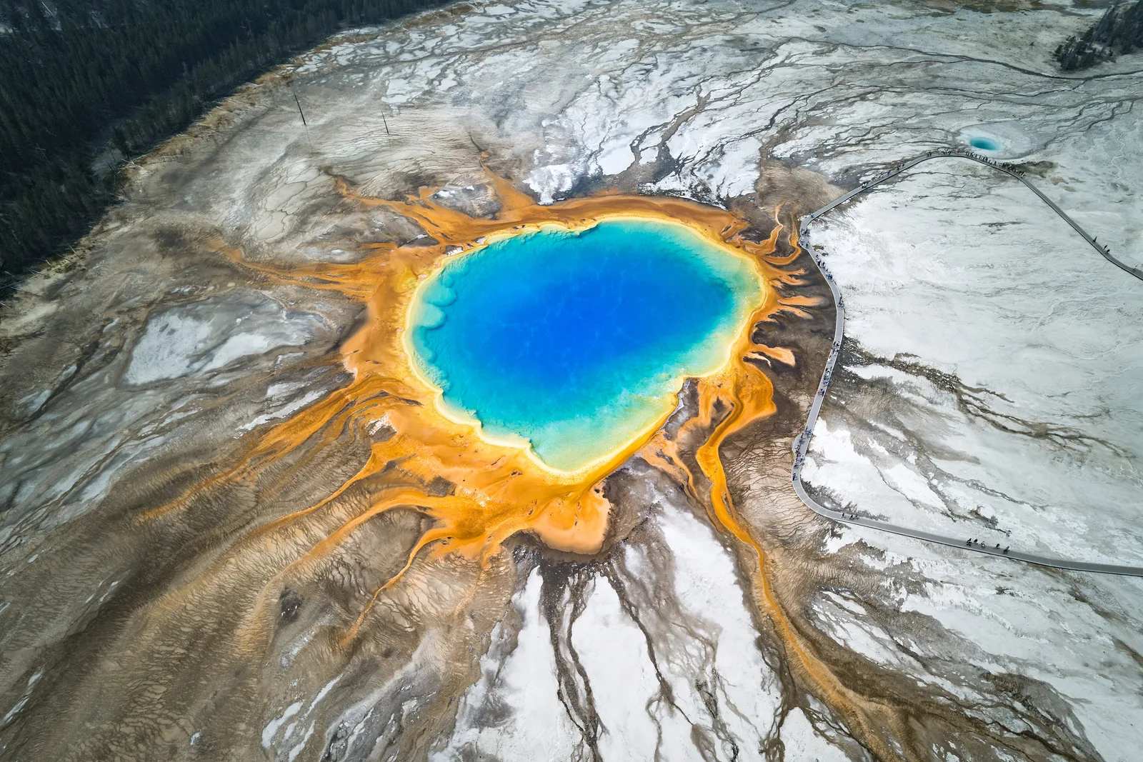 Blue water and orange microbial mats of Grand Prismatic Spring beside a curved Yellowstone boardwalk